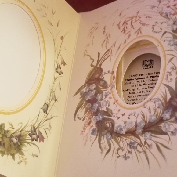 Victorian Treasury Photograph Album with Photo Mounts & Envelopes - Picture 3 of 10